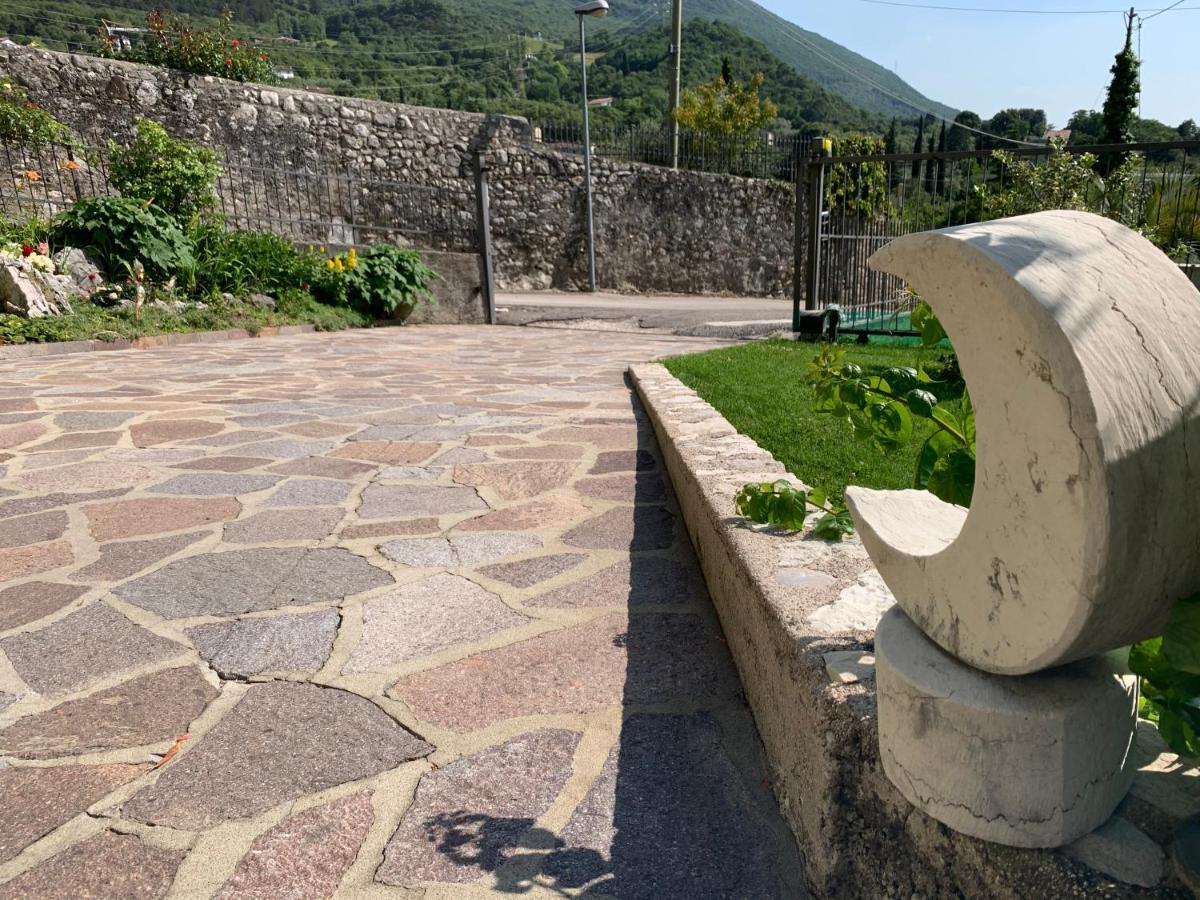 Viola * Malcesine