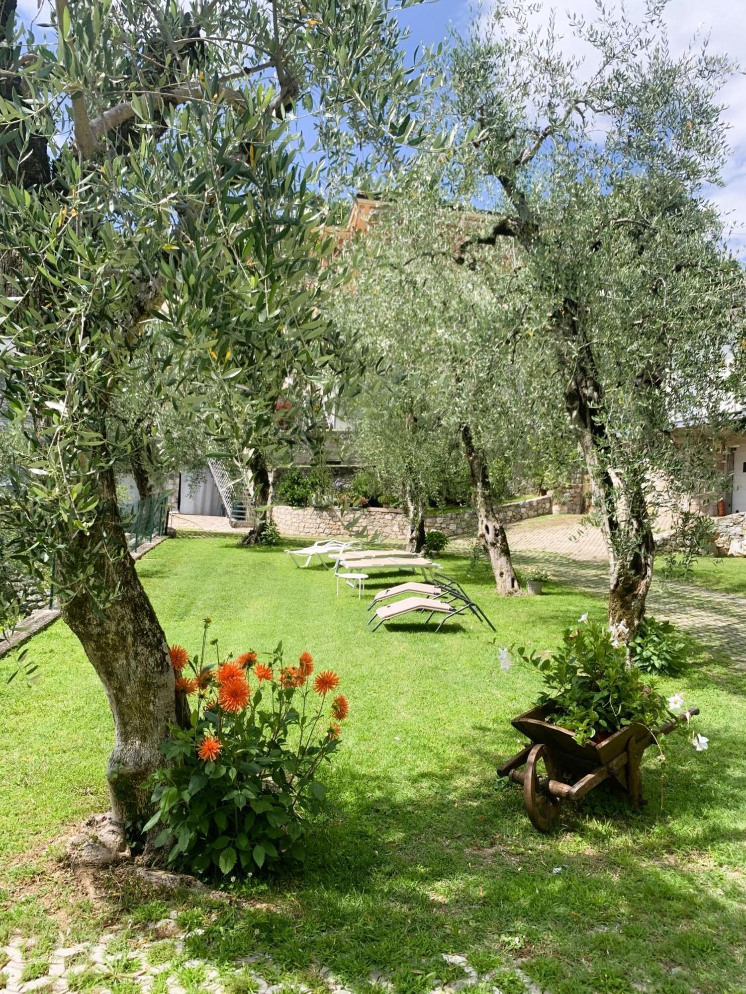 Viola * Malcesine